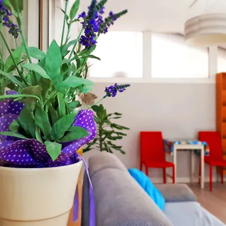 Apartment Matej *